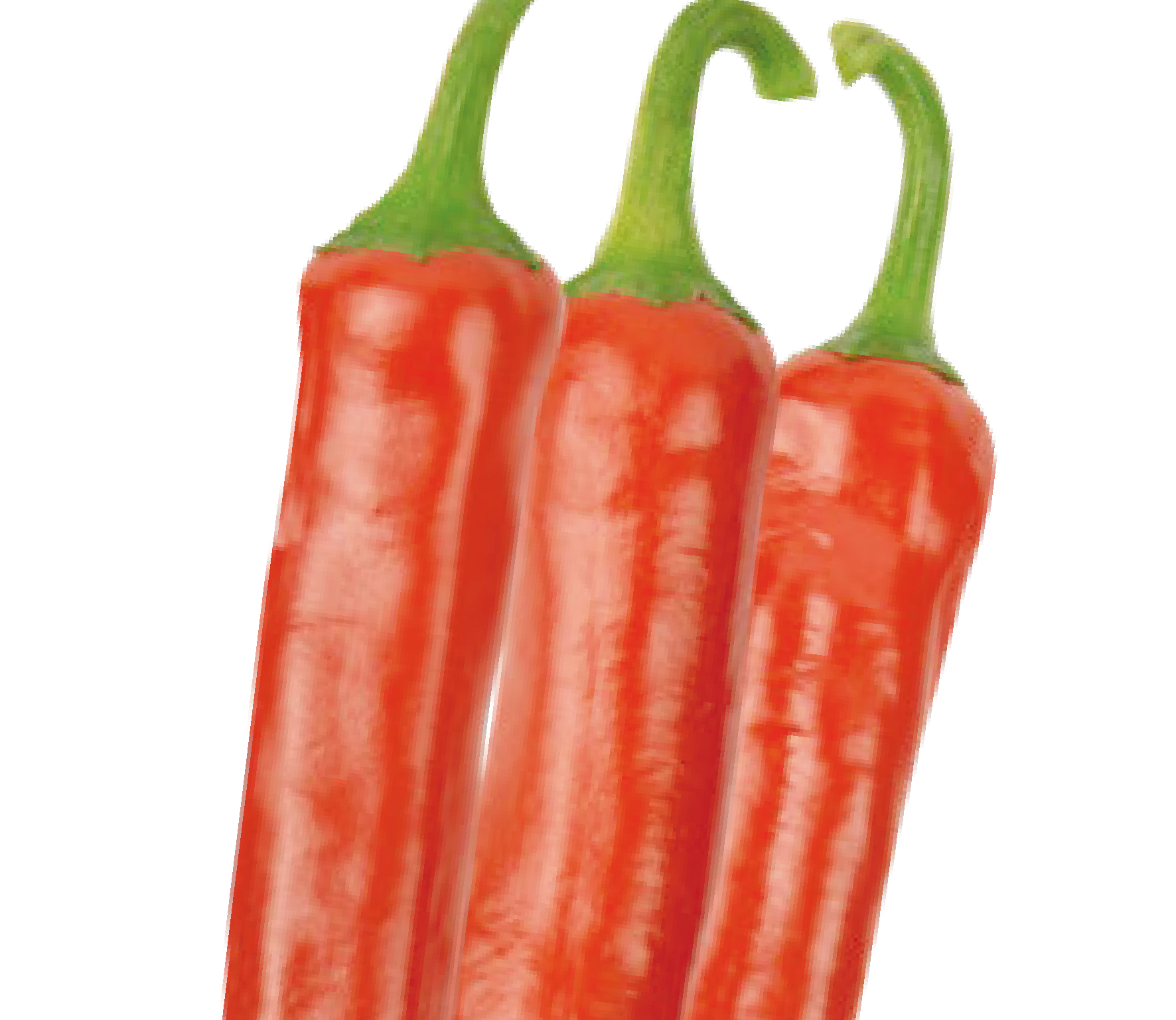 청정지대