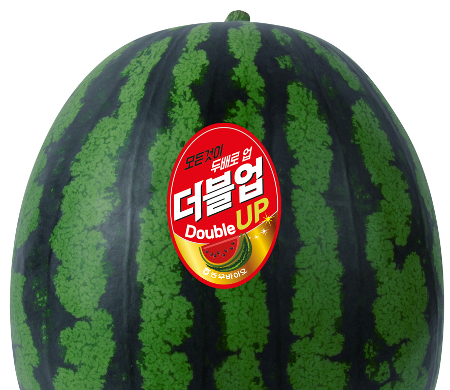 더블업수박