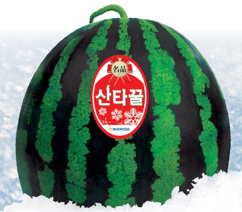 산타꿀