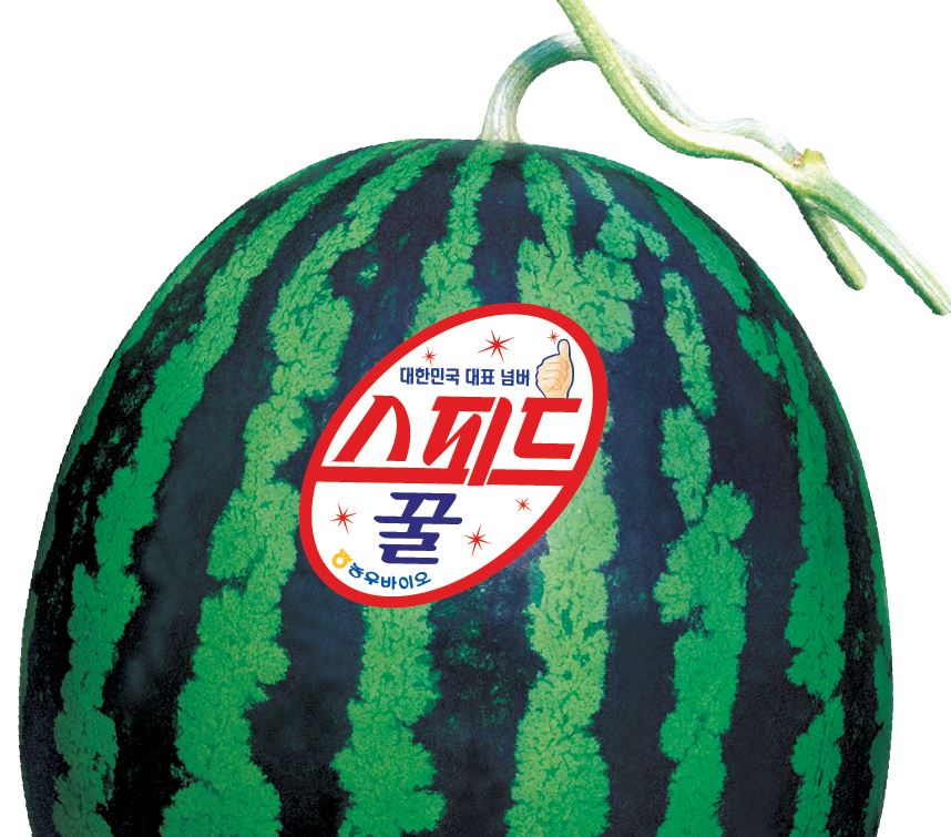 스피드꿀