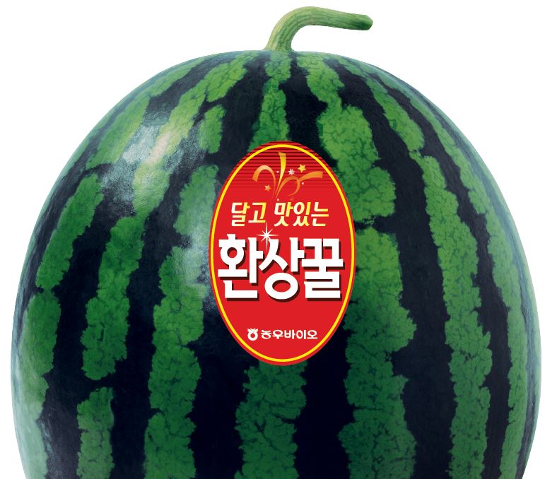 환상꿀