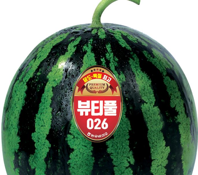 뷰티풀026