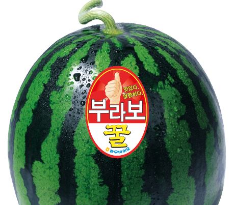 부라보꿀