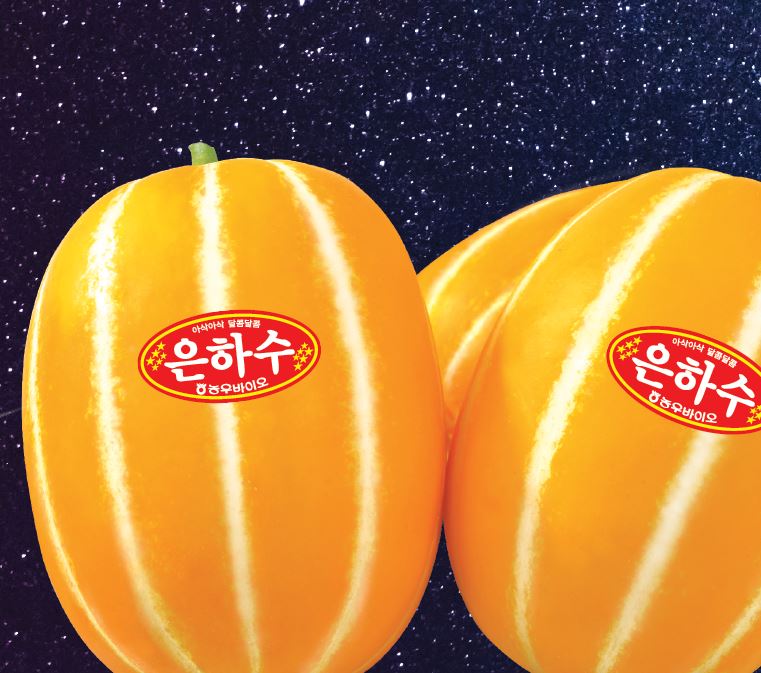 은하수꿀