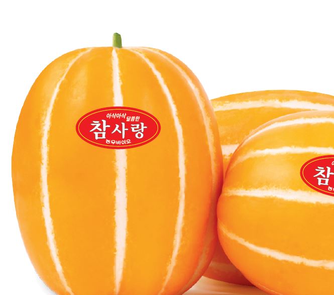 참사랑꿀