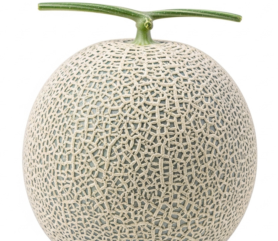 해피빅