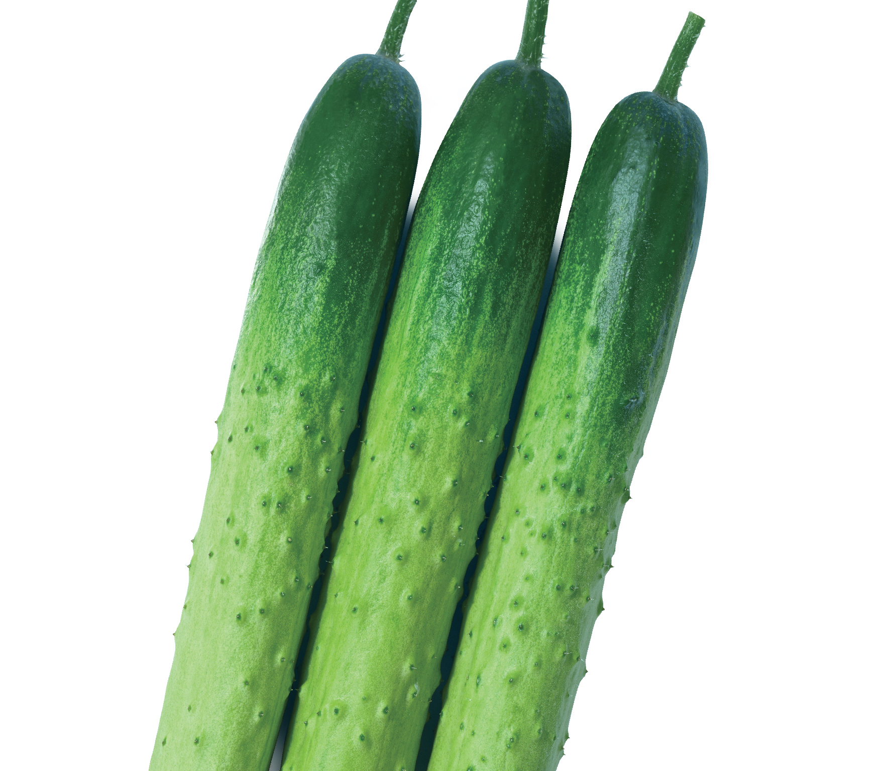청운백다다기
