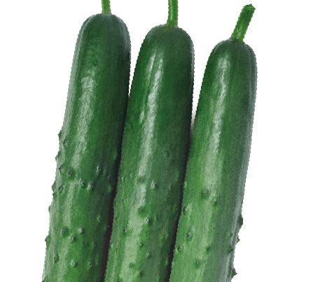 제왕청장