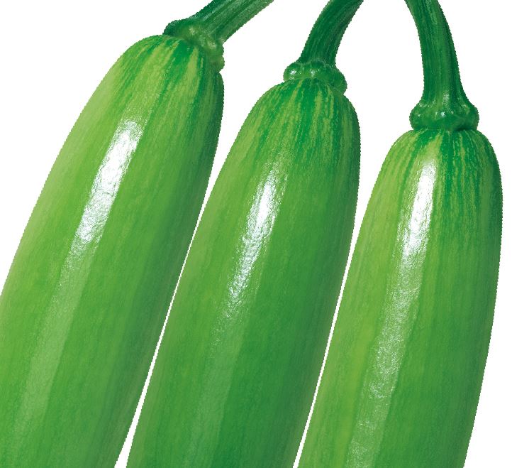 농우애
