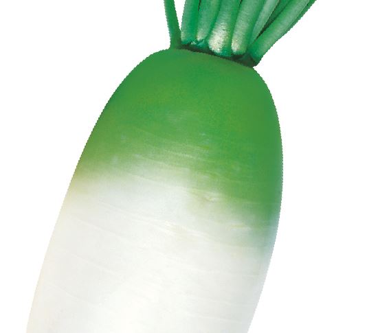 청대봄무