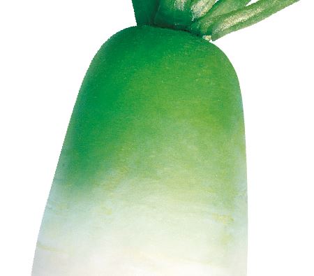 청황무