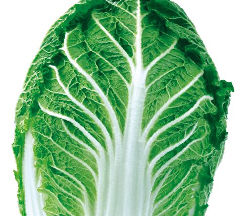 청명가을