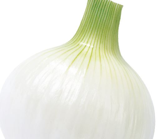 K-스피드