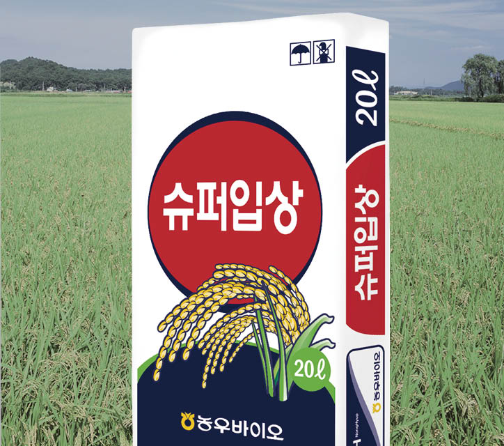 슈퍼입상