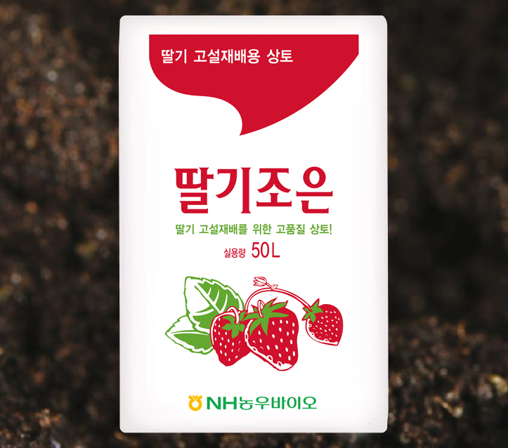 딸기조은