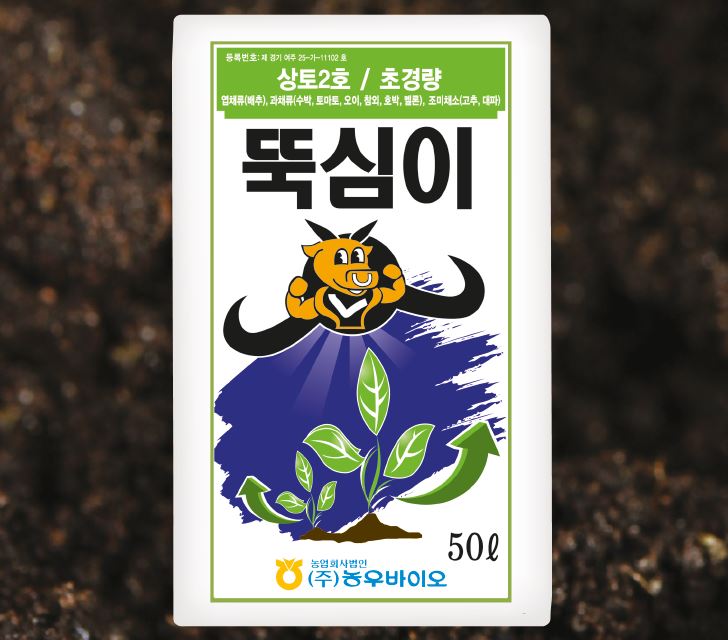 뚝심이